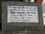 image of grave number 943733